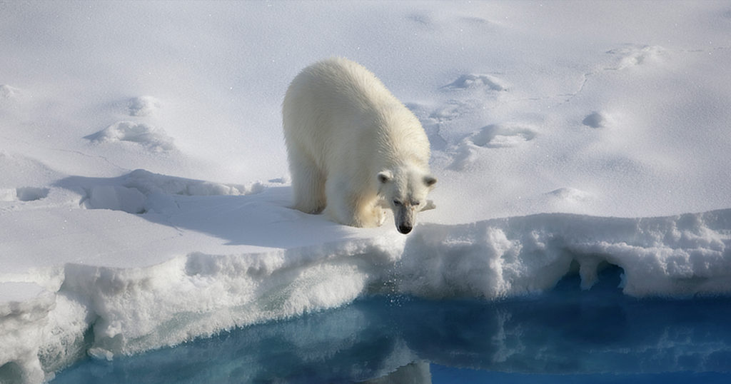 At the ice edge