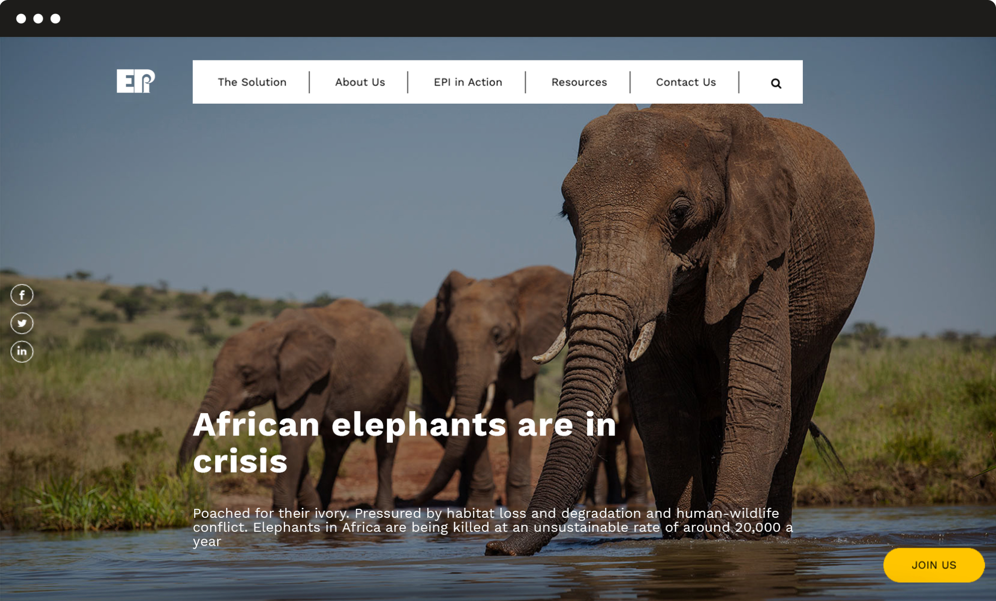 EPI_Header image of EPI website