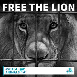 gif speak for animals - free the lion