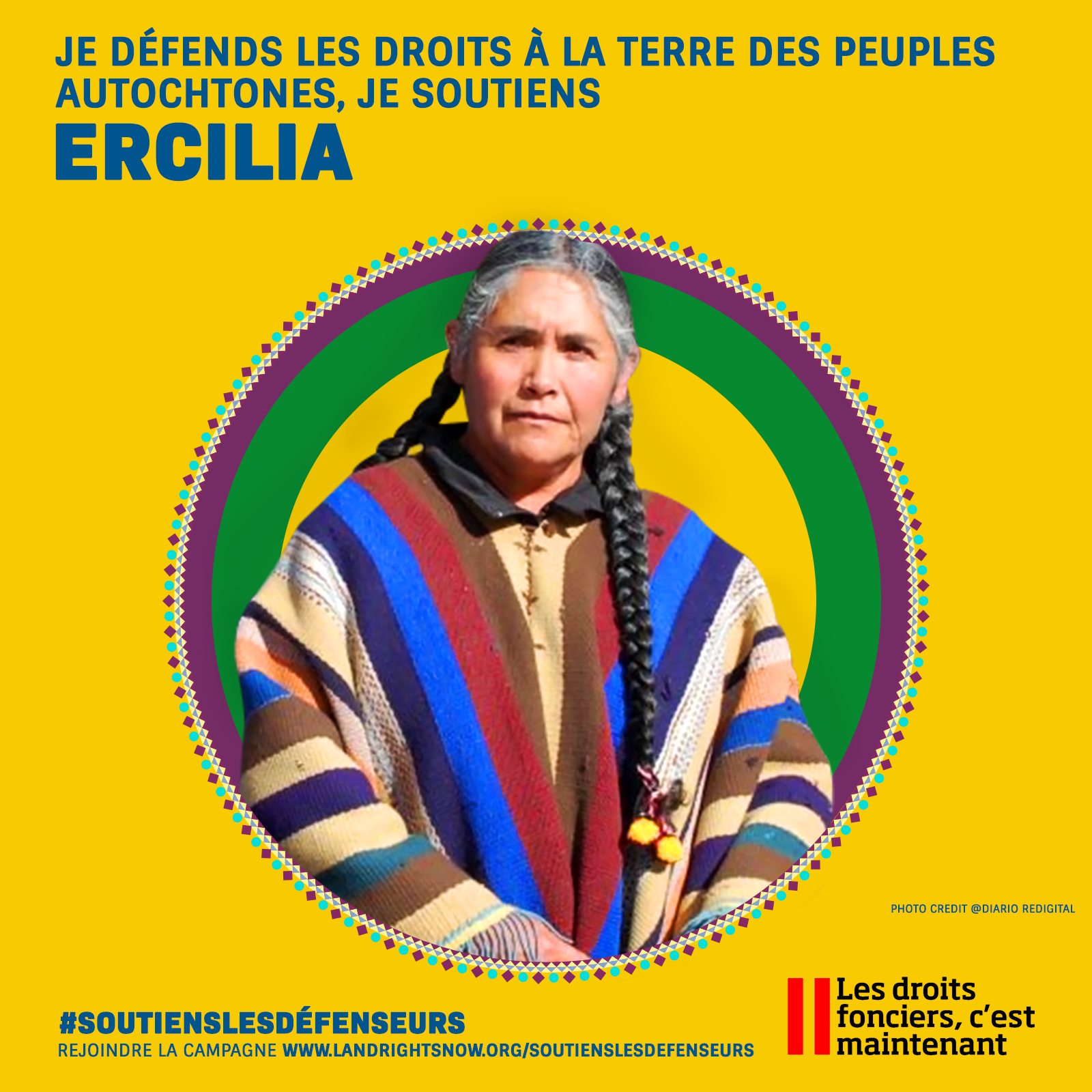 image of ercilia social card of the project with the hashtag 