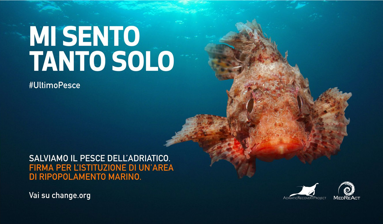 main social card_MedReact fish feeling lonely