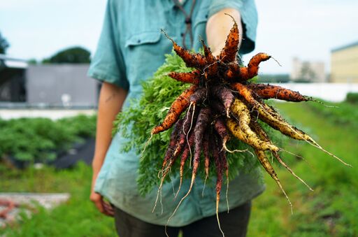 05Rainbow-Carrot-Bouquet-Whats-in-Season-with-Des_preview oikos preview image of a person holding a bouquet of carrots in his hand