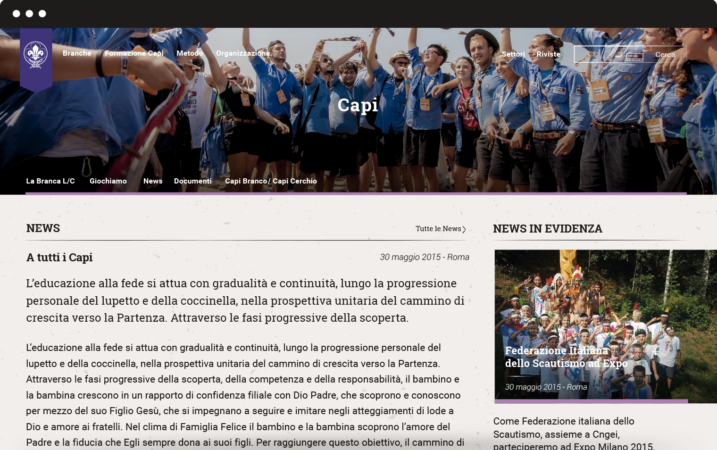 image of capi web page