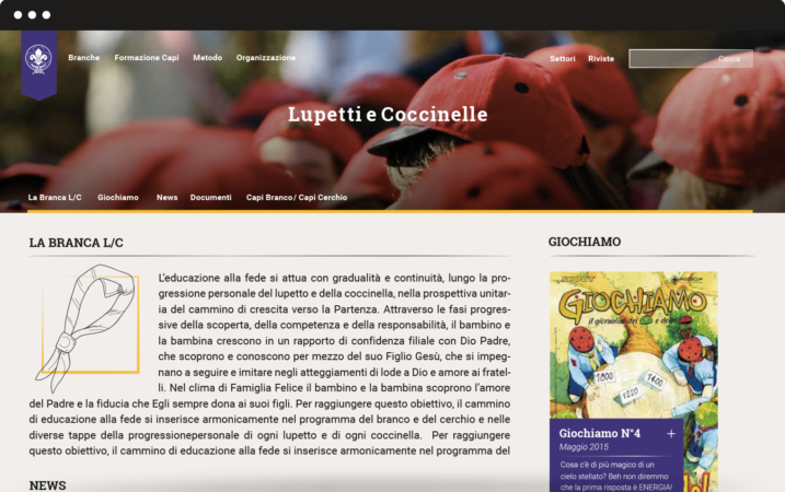 image of lupetti e coccinelle web page