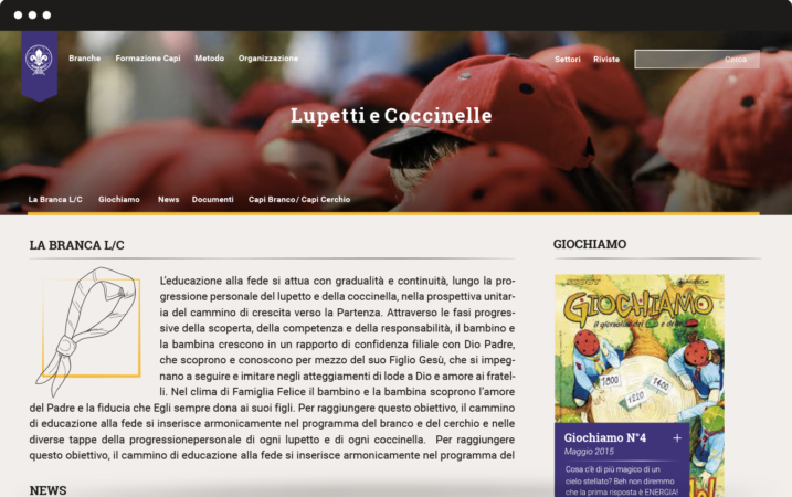 MineSite_4-2-717x450 image of lupetti e coccinelle web page