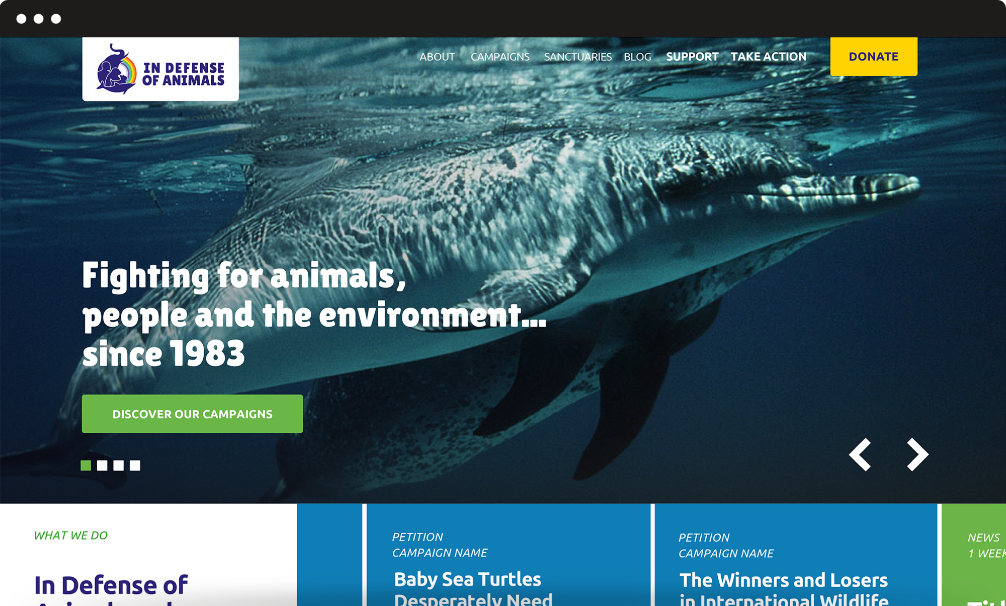 MockUp_Header-1 image of the website