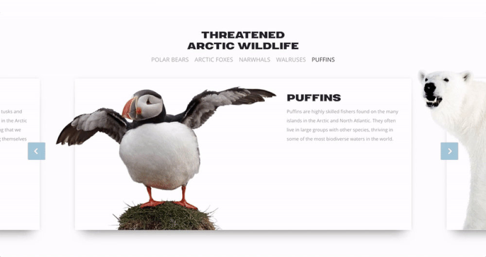 animated image of the section of the site dedicated to Arctic wildlife