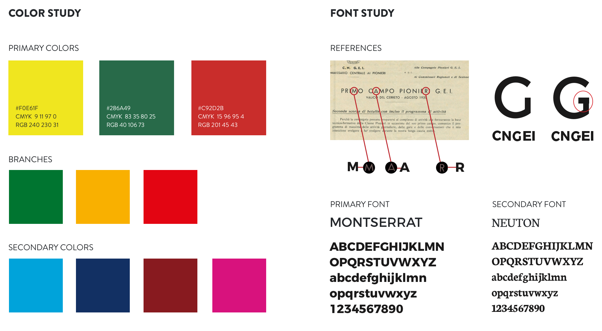 identity image of CNGEI's font and colours palette