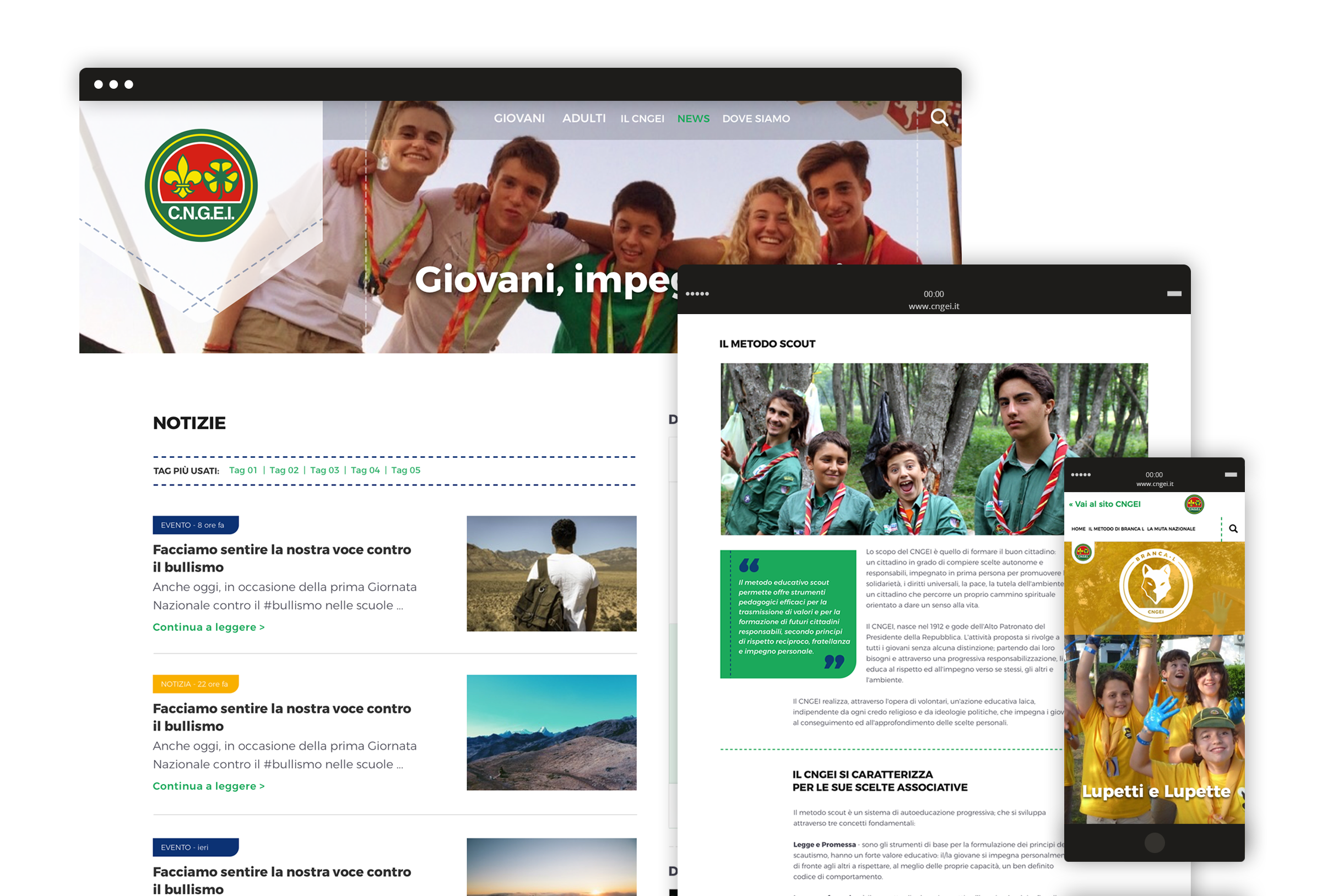 image of CNGEI website responsive mockup