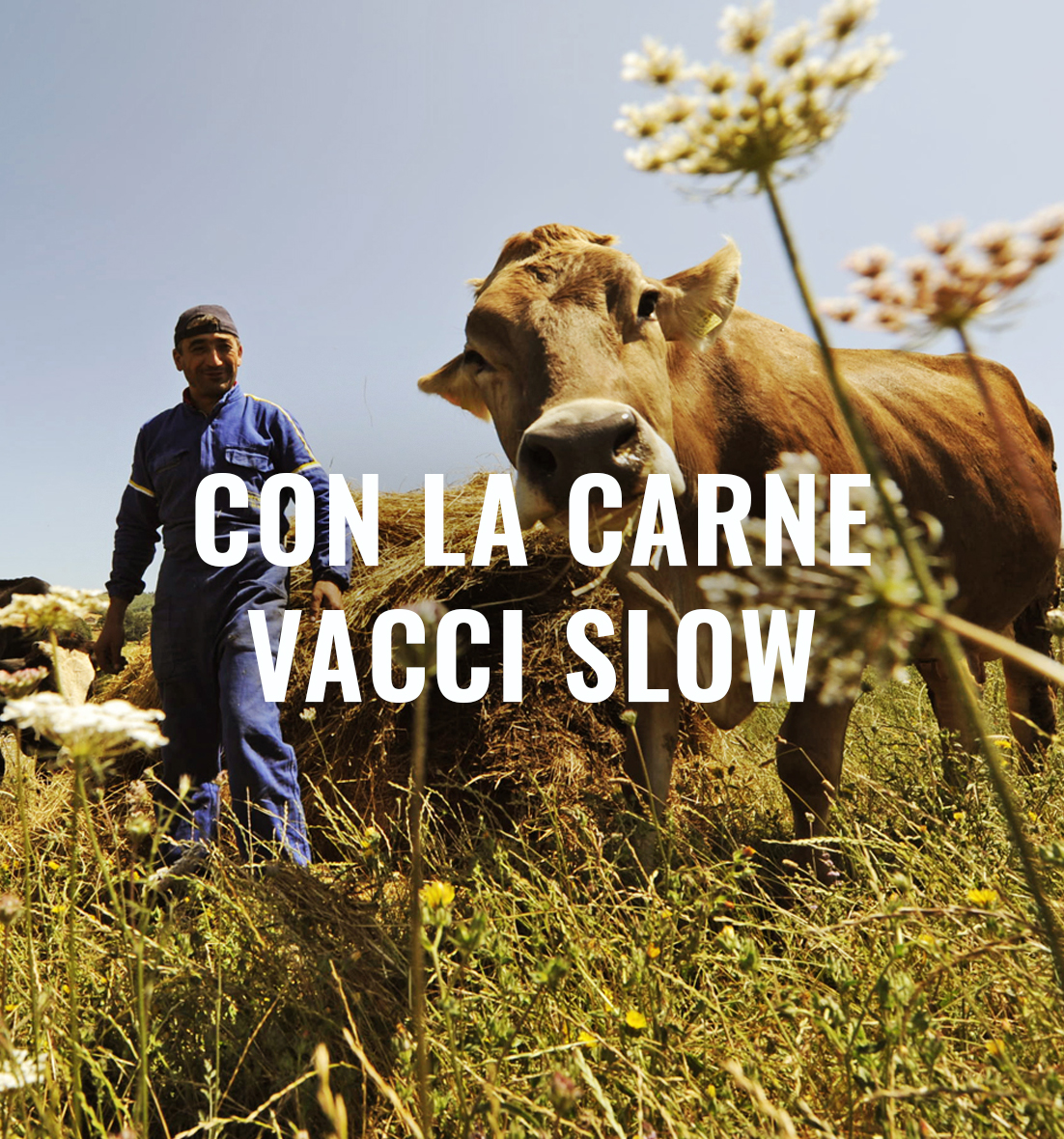 slowfood meat the change cover