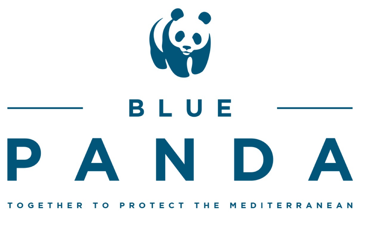 image of blue panda logo