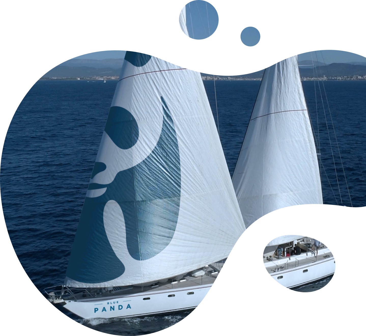 wwfboat_intro image of blue panda boat