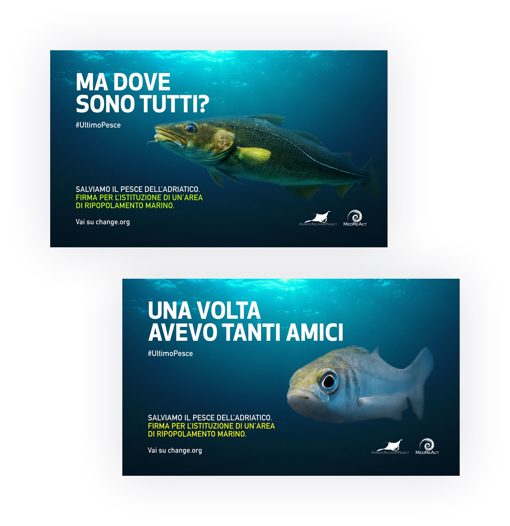 mobile 2 cards medreact fish feeling lonely