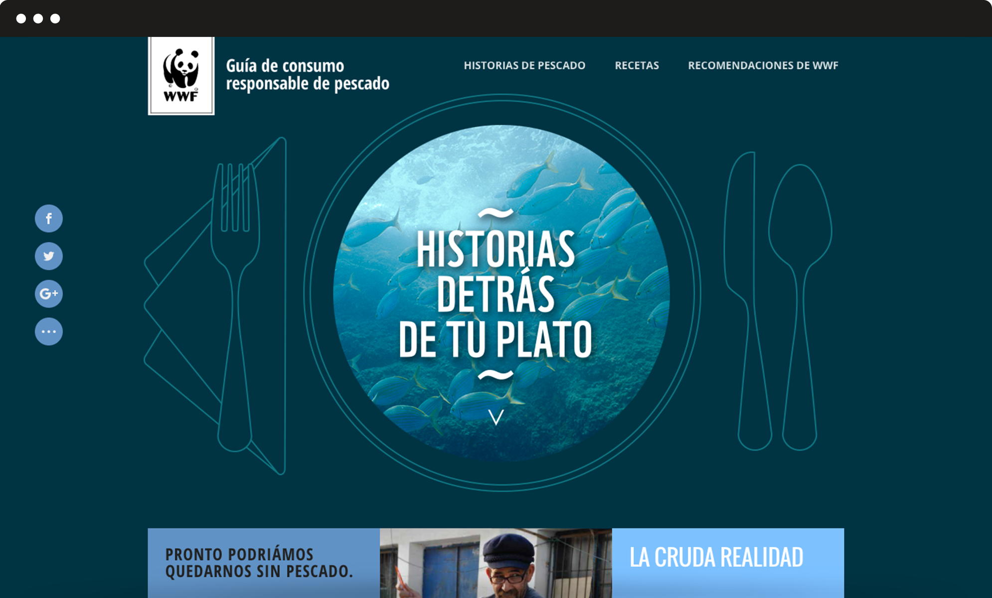 Header_WWF-Sea food guide image wwf website sea food guide
