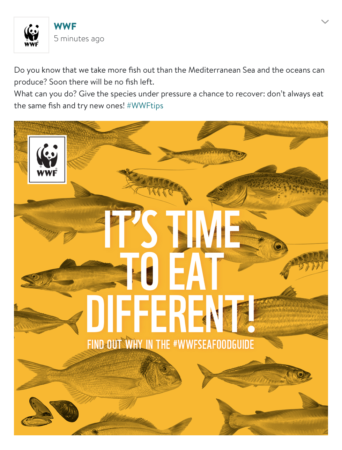 slider2_WWF-Sea food guide slider2_WWF-Sea food guide
