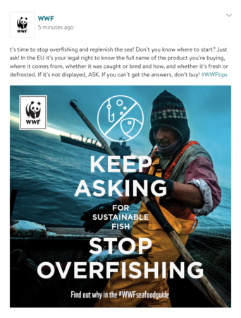 slider3_WWF-Sea food guide slider3_WWF-Sea food guide