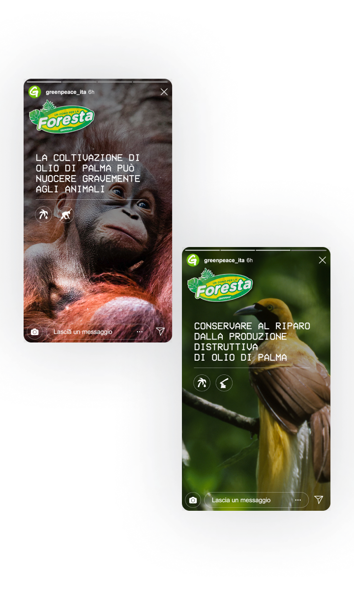 Group 2084 IG stories_mobile_GPforesta