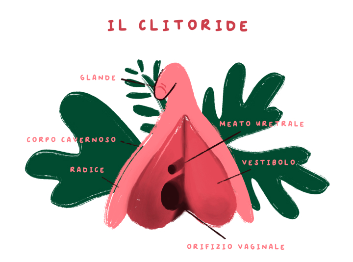 mobile clitoride dottoressa V policlinico milano