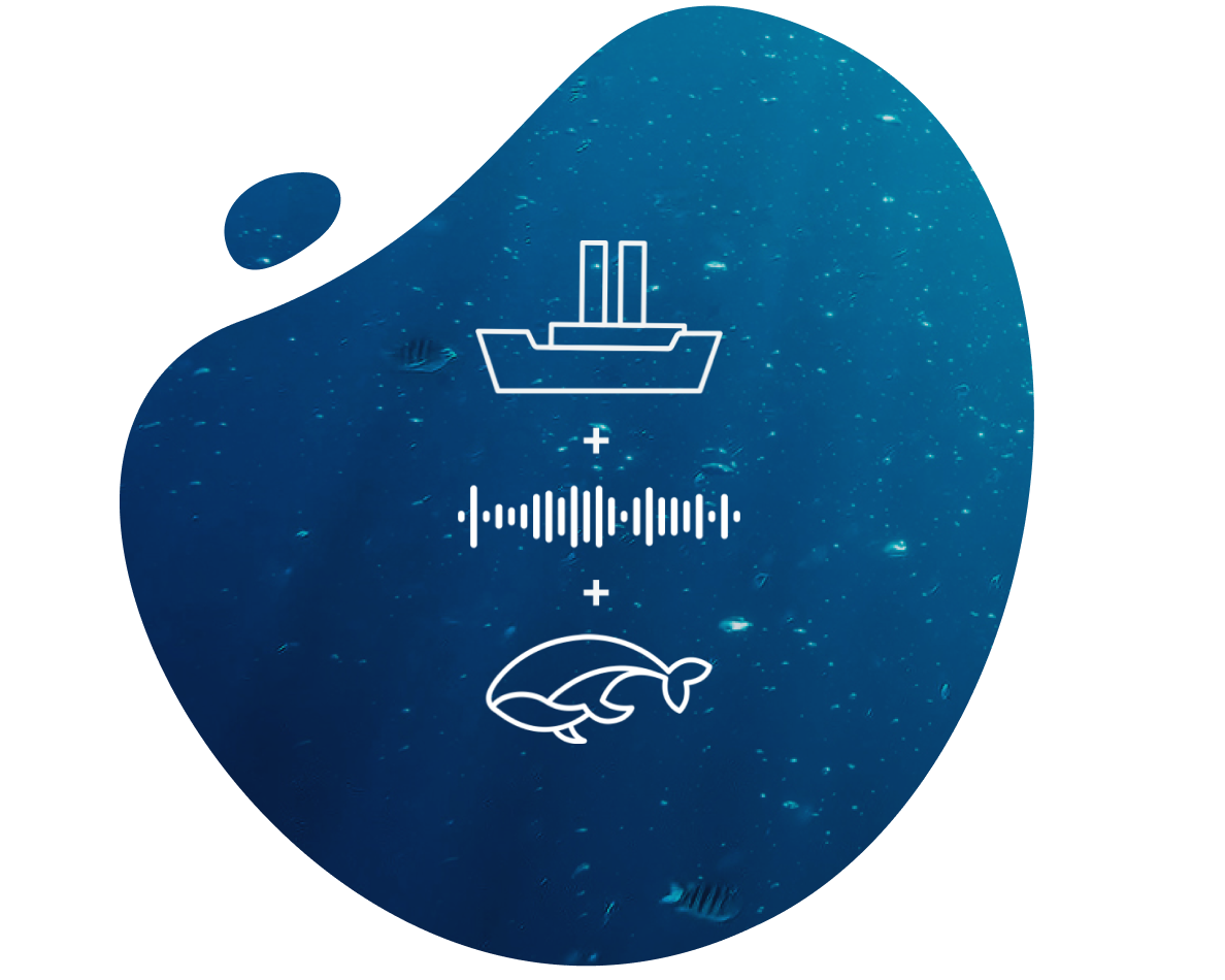 Bubble_Concept_IFAW icone nave + onda sonora + balena