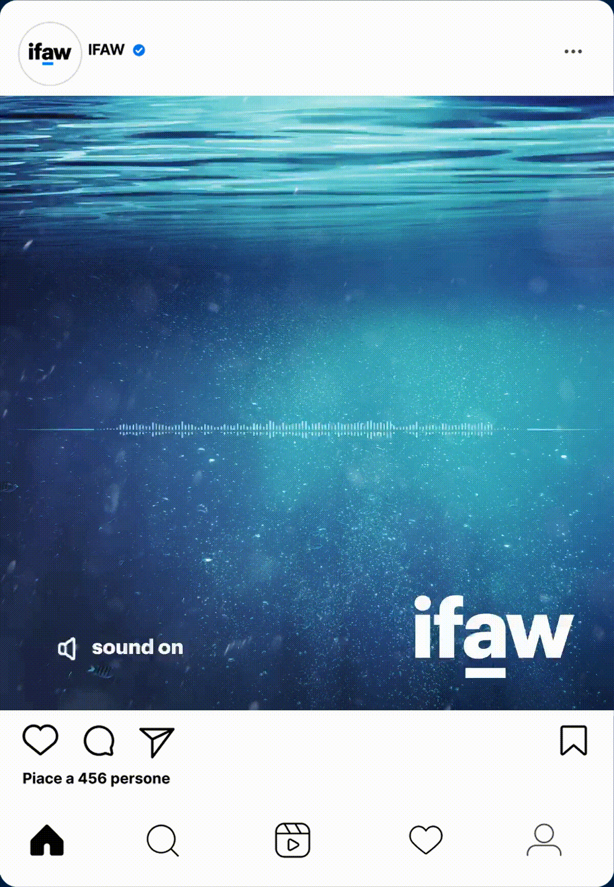 ENG_Dolphin_Sound IFAW mockup post instagram