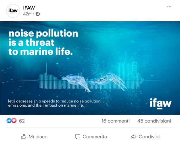 IFAW mockup Facebook card