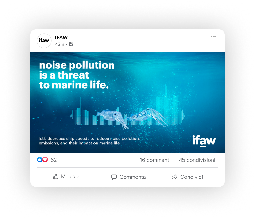 IFAW mockup Facebook card