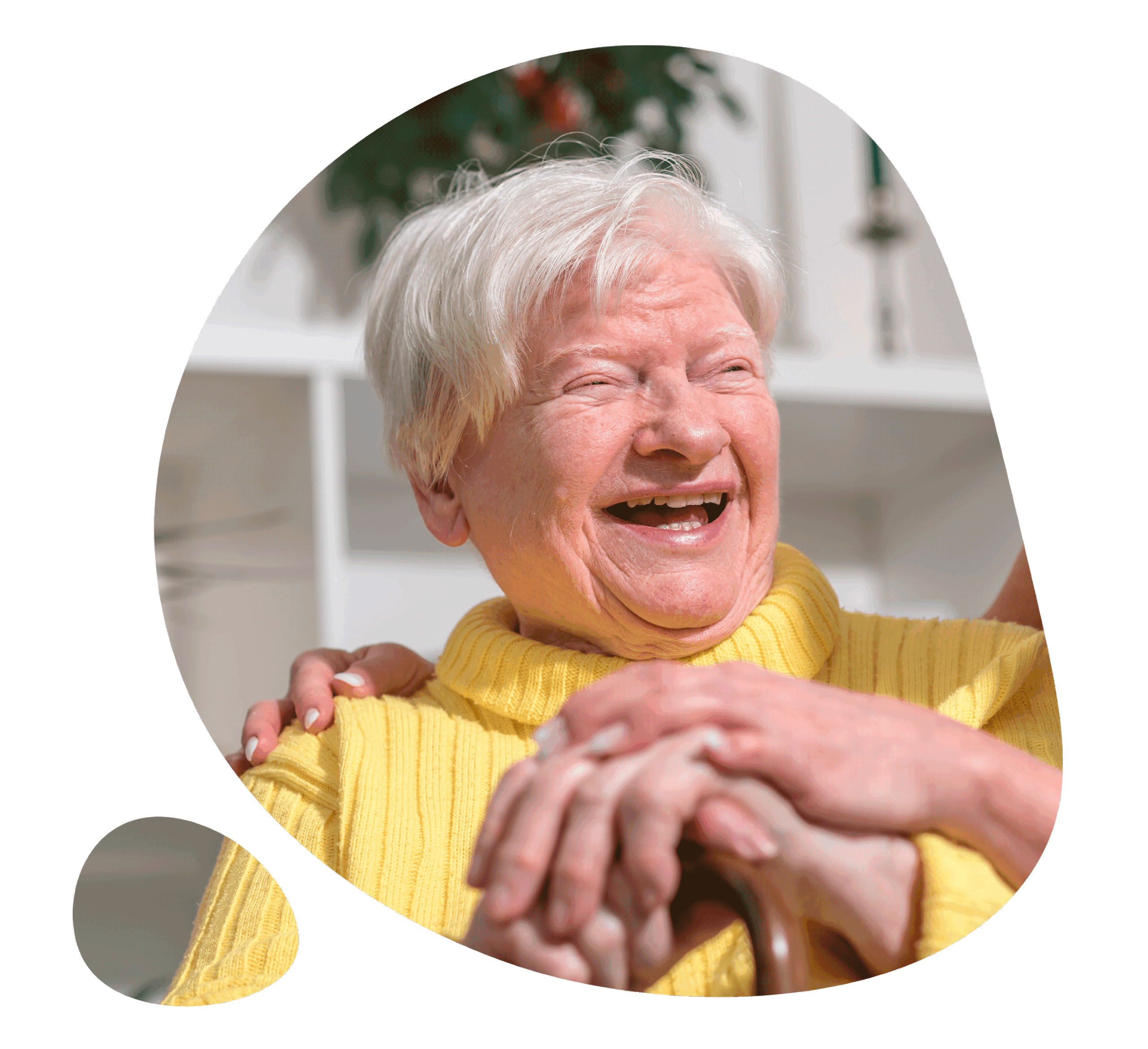 abuela-mobilll